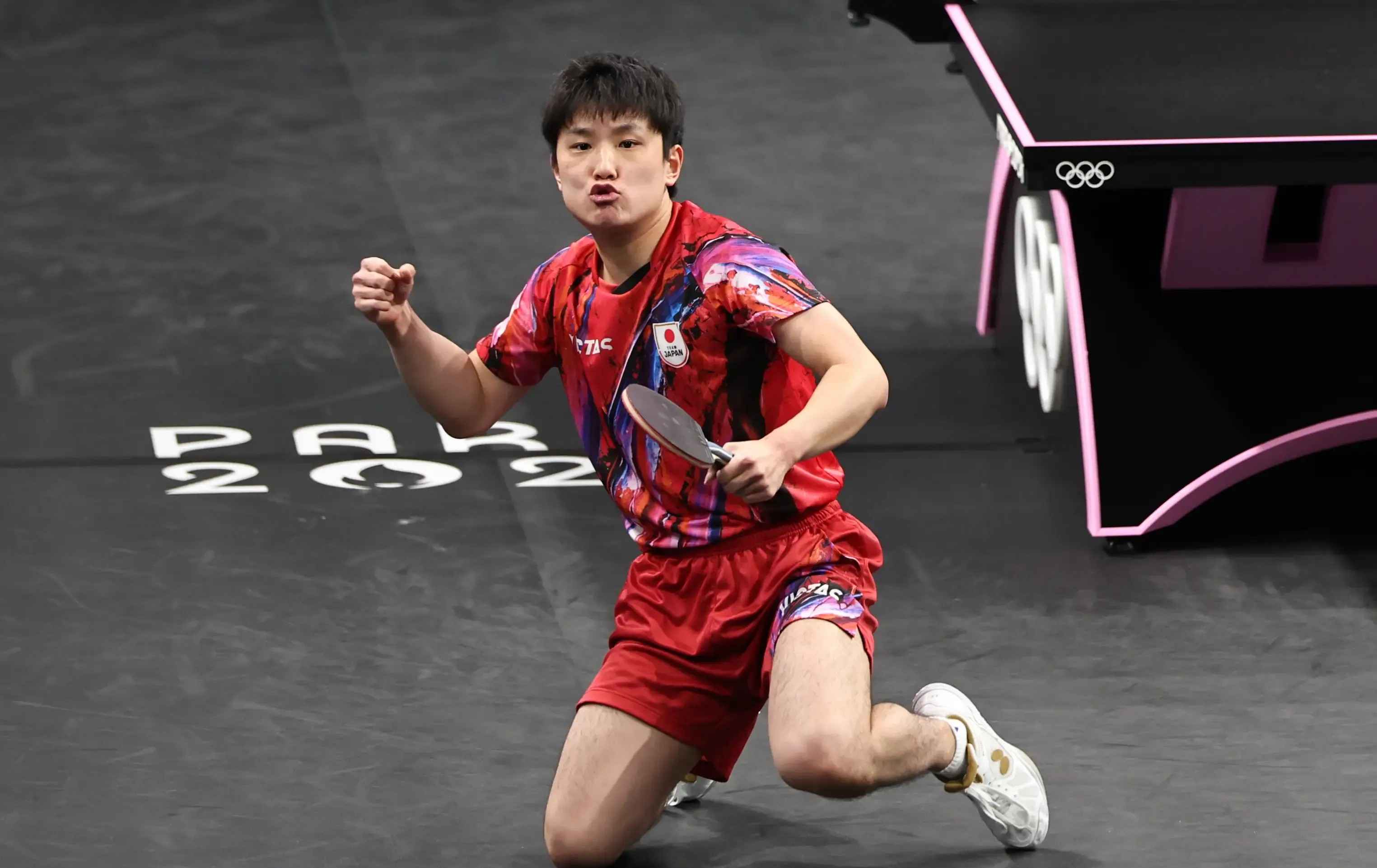 奥地利队逆转葡萄牙队，张本智和状态火热