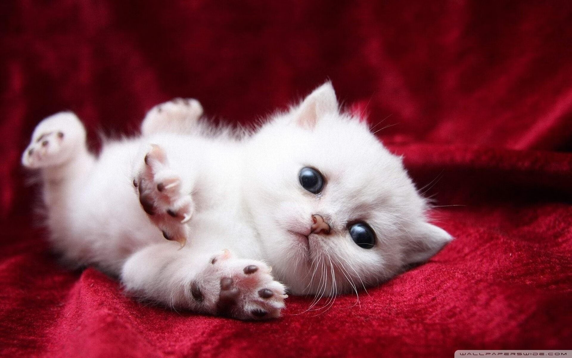 冰火交锋,76人险胜之夜,小贾伦如何从冰封到封神?