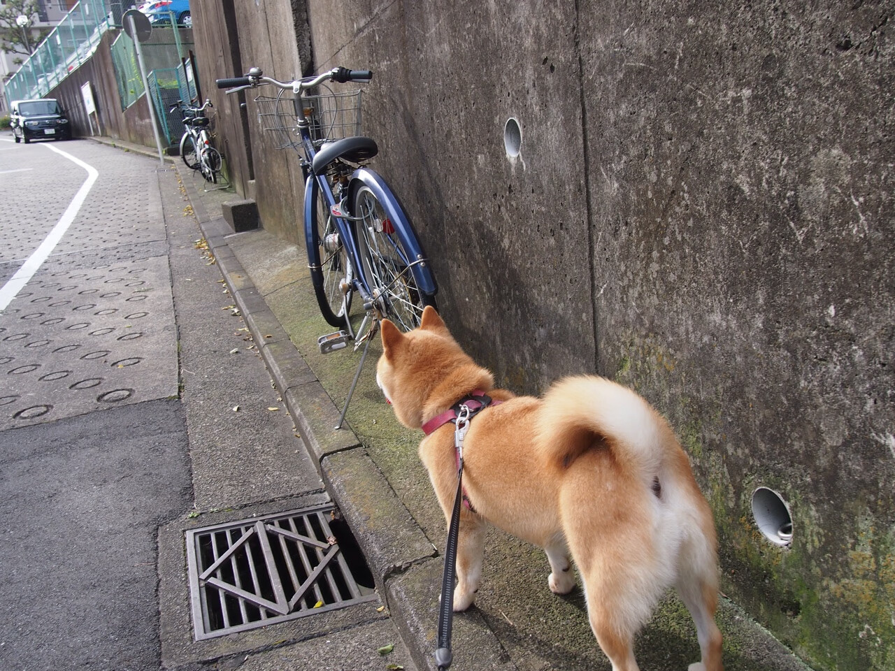 雷火电竞-在高压的夜晚证明自己，国家德比的绿茵场与字母哥的篮球殿堂