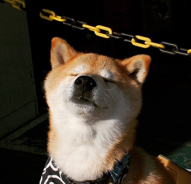 雷火电竞网站-节奏骑士的魔术交响，锡安在奥运生死战中的王者接管