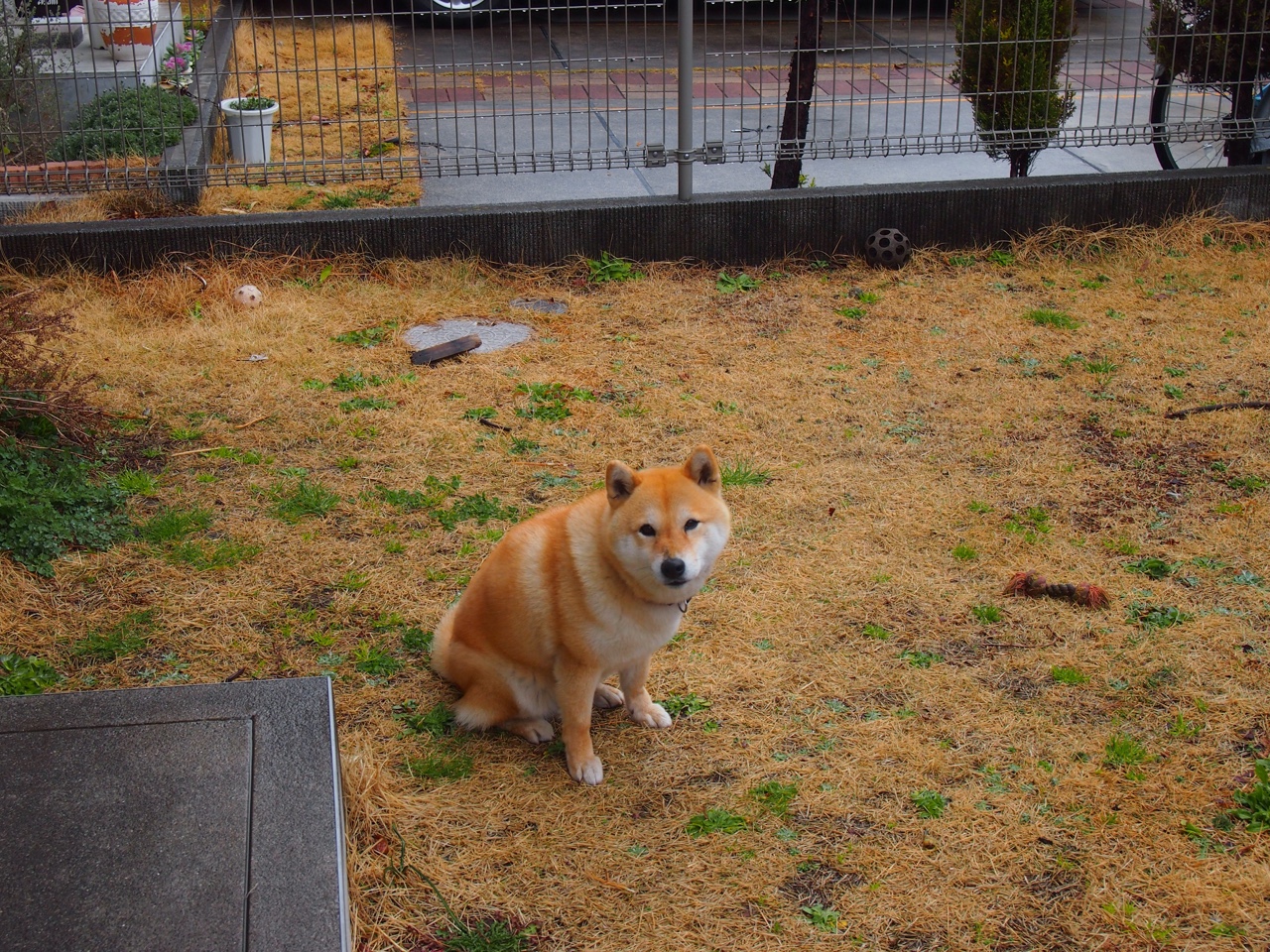 雷火电竞主播-温布利上空的广陵散，当帕尔默用东方智慧导演曼城大逆转