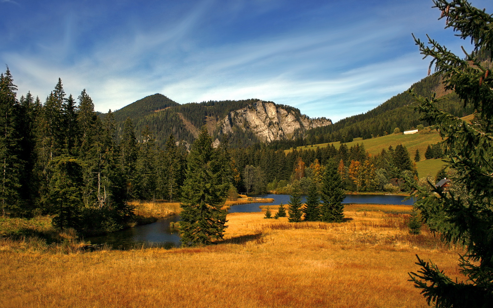雷火电竞简介-星光刺破暗夜，哈利伯顿压力下的凤凰涅槃之战