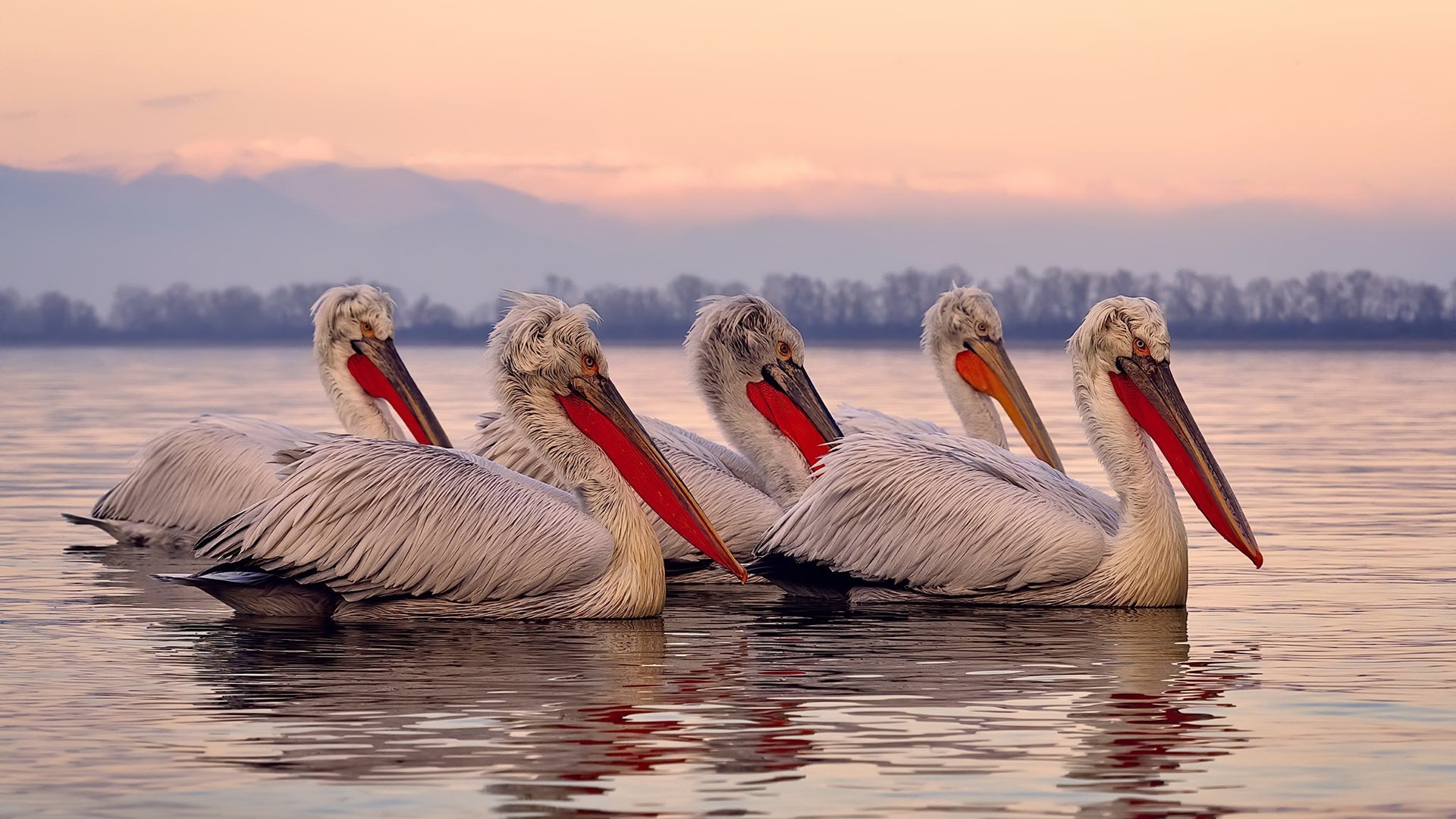 隐形战场，霍勒迪在季后赛之夜持续制造的寂静杀伤