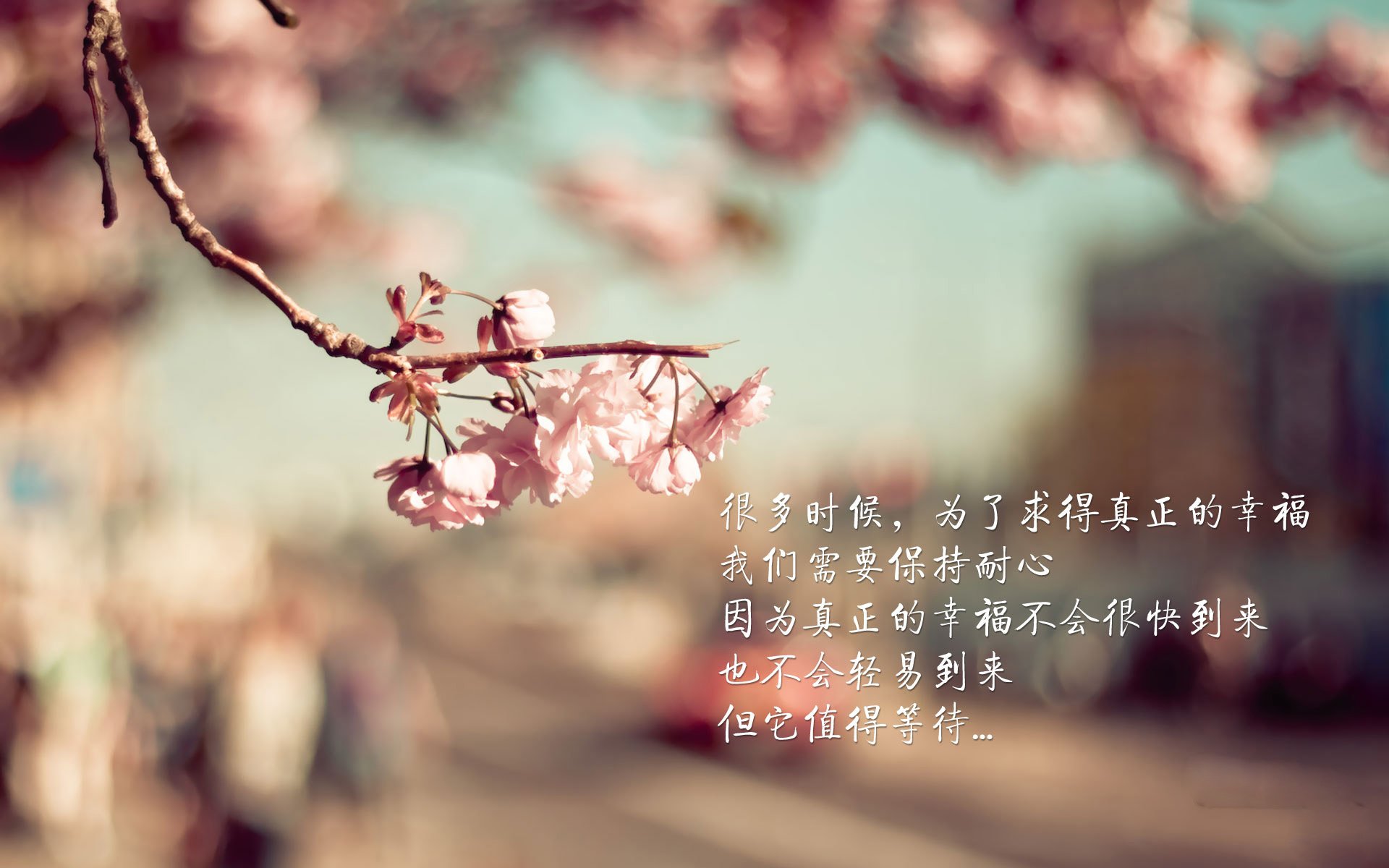 当新疆队遭遇魔法老鹰,库里在异世界第七战展现的巨星真义