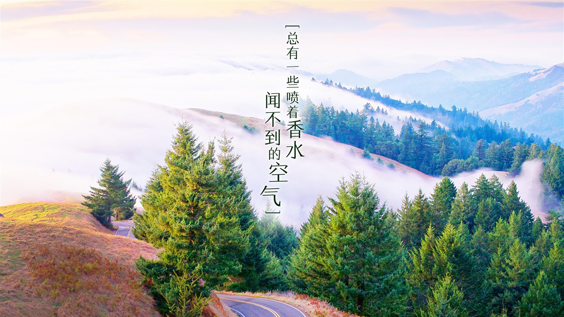 雷火电竞下载-沉默刺客的独白，当关键先生拉梅洛，亲手为深圳队斩断十六年宿命锁链