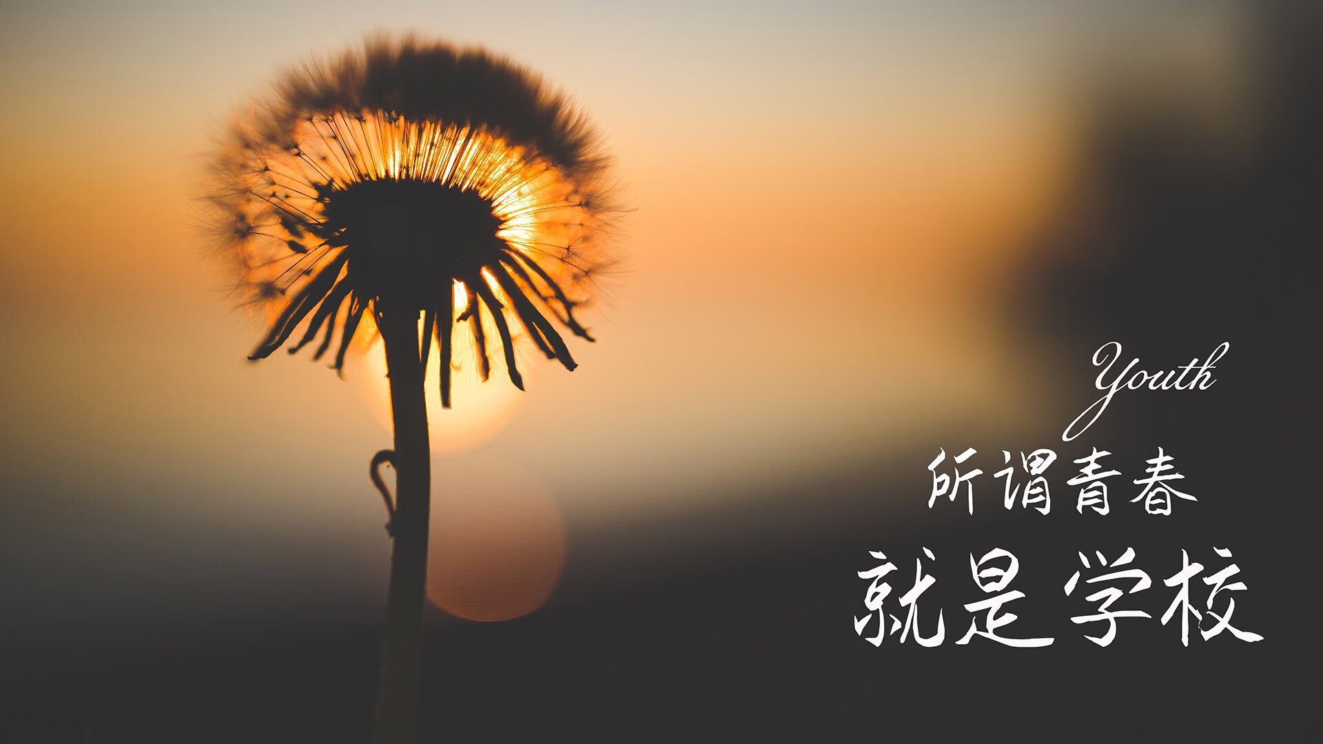 唯一性瞬间,凯塞多爆破防线,摩洛哥单节狂潮—当体育打破所有剧本