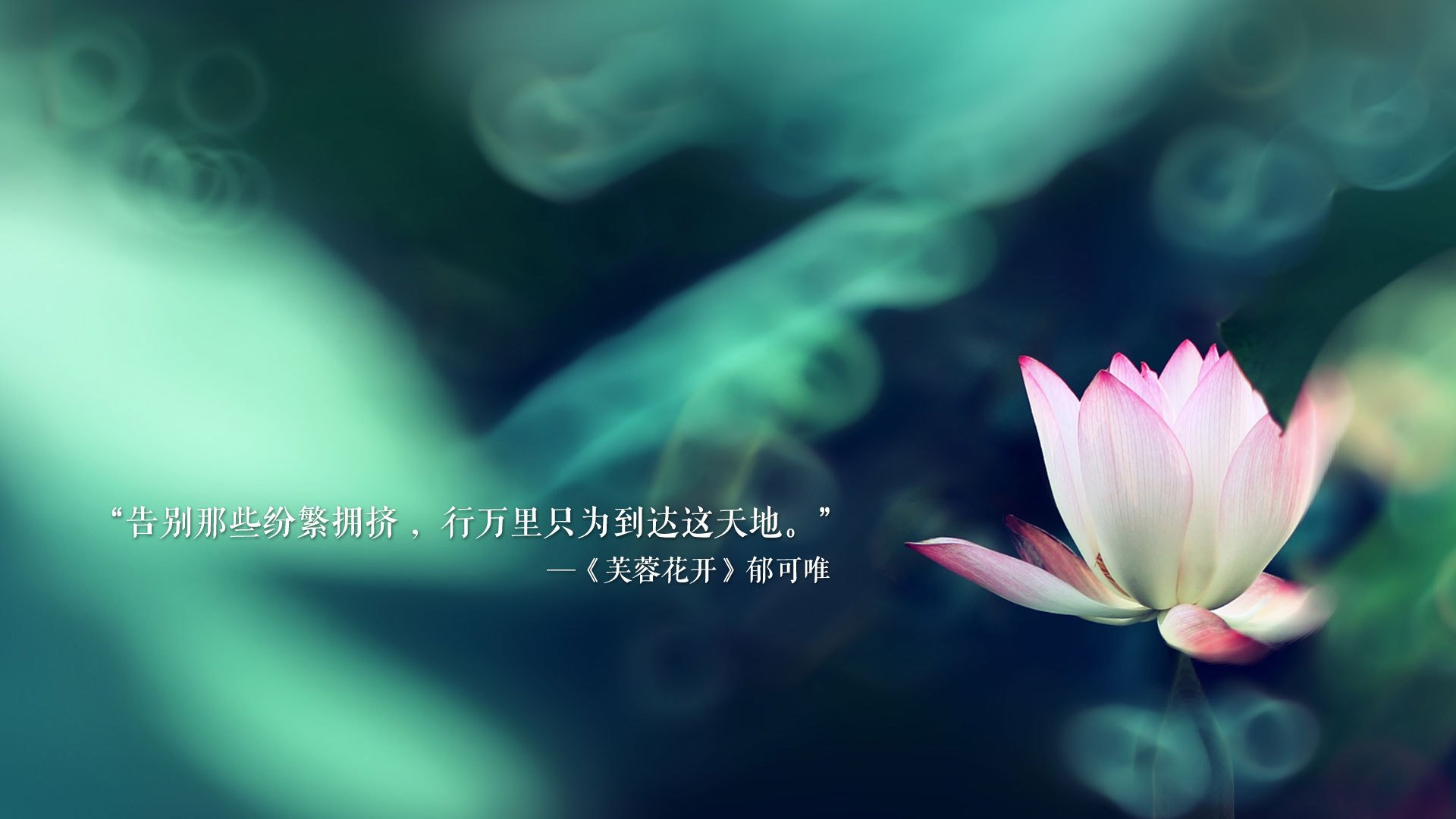 德容一剑封喉,秘鲁压哨绝杀葡萄牙,世界杯死亡之组上演最燃逆转