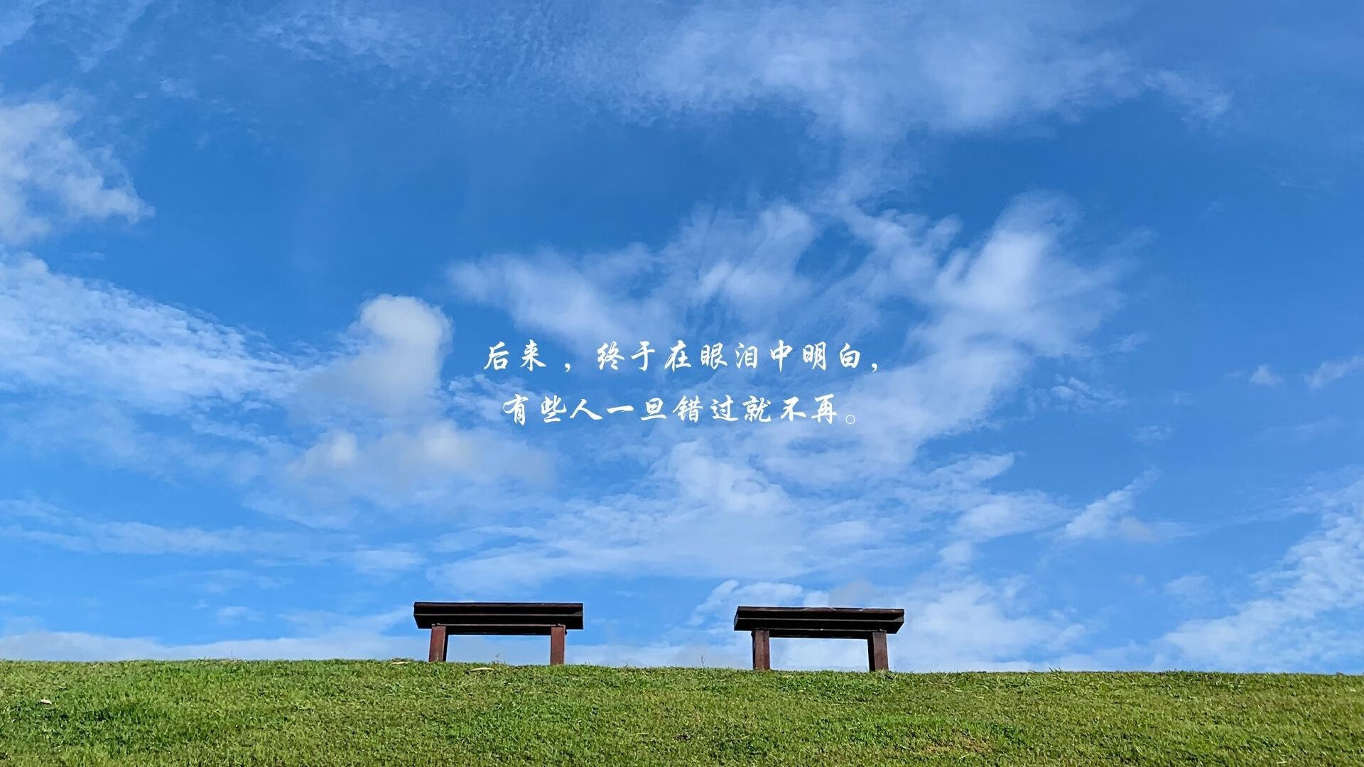 雷火电竞网站-维也纳之刃，2026世界杯C组焦点战，凯恩手术刀式进攻肢解哥伦比亚
