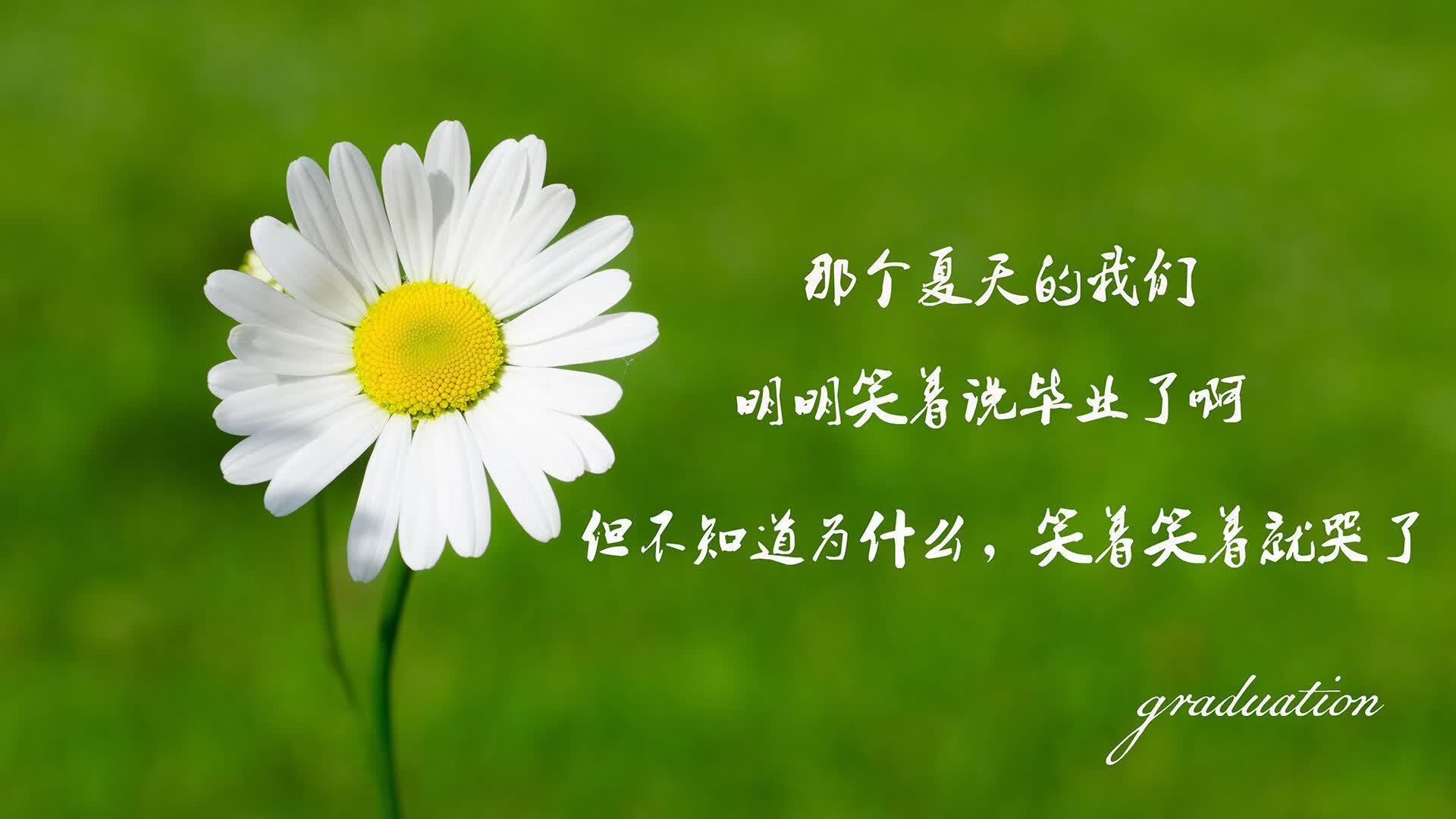雷火电竞网址-沙漠玫瑰的暗影，当印度在H组撕裂突尼斯，巴雷拉用双脚写下世界杯唯一剧本